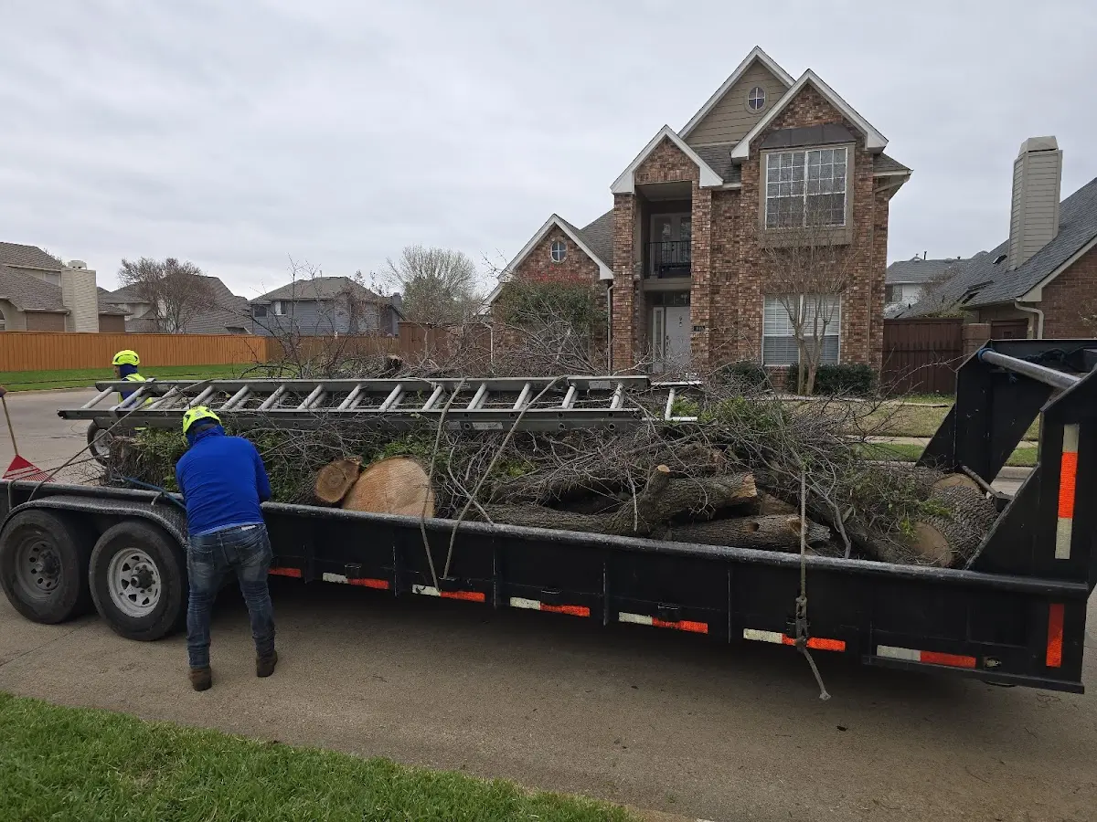 Expert Tree Removal with proper safety equipment in Kettlersville